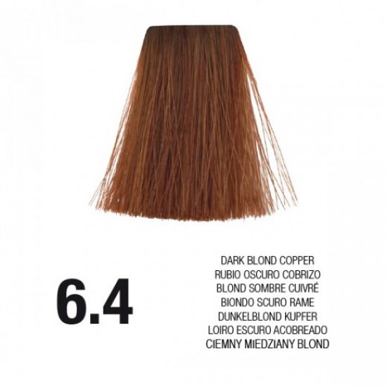 PostQuam Professional Essential Color Κρέμα Βαφή Μαλλιών 60ml ,6.4 Ξανθό Σκούρο Χάλκινο PostQuam Professional Essential Color Κρέμα Βαφή Μαλλιών 60ml ,6.4 Ξανθό Σκούρο Χάλκινο