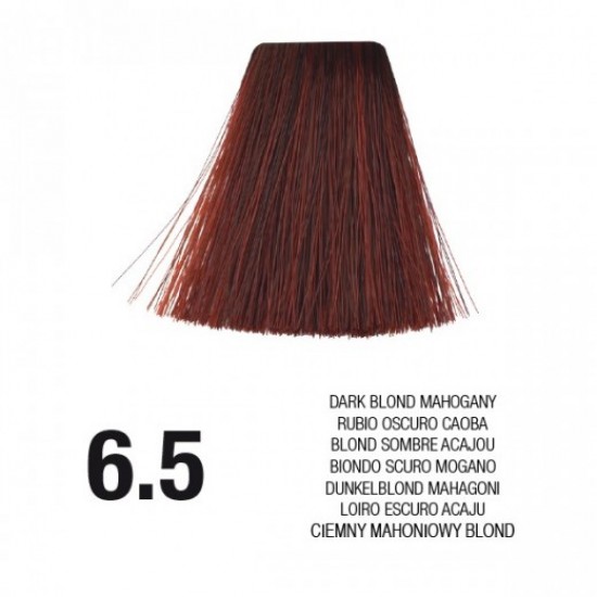 PostQuam Professional Essential Color Κρέμα Βαφή Μαλλιών 60ml ,6,5 Ξανθό Σκούρο Κόκκινο PostQuam Professional Essential Color Κρέμα Βαφή Μαλλιών 60ml ,6,5 Ξανθό Σκούρο Κόκκινο