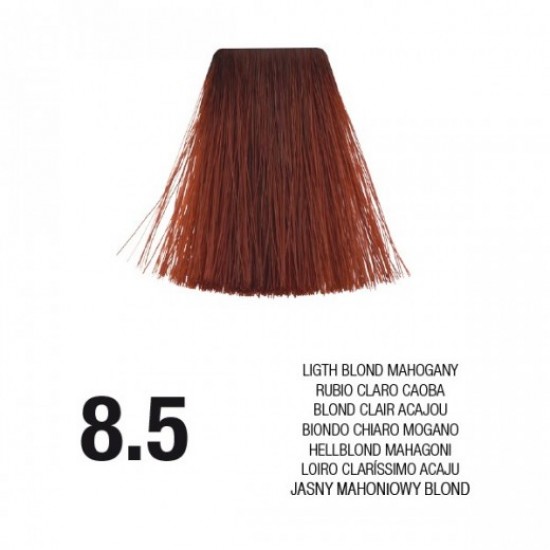 PostQuam Professional Essential Color Κρέμα Βαφή Μαλλιών 60ml ,8,5 Ξανθό Ανοιχτό Κόκκινο PostQuam Professional Essential Color Κρέμα Βαφή Μαλλιών 60ml ,8,5 Ξανθό Ανοιχτό Κόκκινο