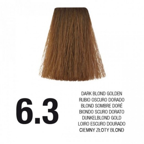 PostQuam Professional Essential Color Κρέμα Βαφή Μαλλιών 60ml ,6.3 Ξανθό Σκούρο Ντορέ PostQuam Professional Essential Color Κρέμα Βαφή Μαλλιών 60ml ,6.3 Ξανθό Σκούρο Ντορέ