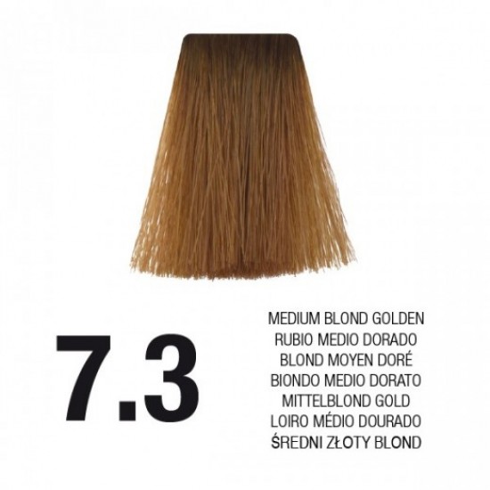 PostQuam Professional Essential Color Κρέμα Βαφή Μαλλιών 60ml ,7,3 Ξανθό Ντόρε PostQuam Professional Essential Color Κρέμα Βαφή Μαλλιών 60ml ,7,3 Ξανθό Ντόρε