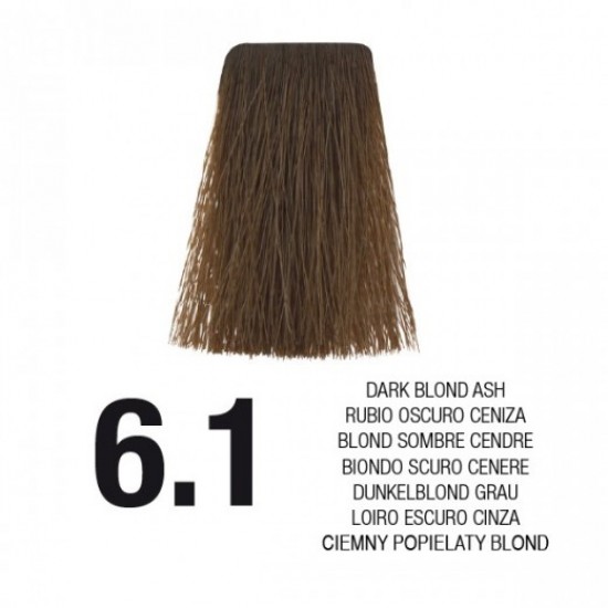 PostQuam Professional Essential Color Κρέμα Βαφή Μαλλιών 60ml ,6,1 Ξανθό Σκούρο Σαντρέ PostQuam Professional Essential Color Κρέμα Βαφή Μαλλιών 60ml ,6,1 Ξανθό Σκούρο Σαντρέ