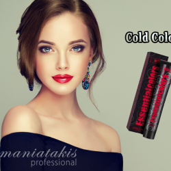 PostQuam Professional Essential Color Κρέμα Βαφή Μαλλιών 60ml ,10.1 Ξανθό Πλατινέ Σαντρέ 