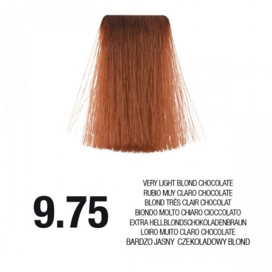 PostQuam Professional Essential Color Κρέμα Βαφή Μαλλιών 60ml ,9,75 Ξανθό Πολύ Ανοιχτό Καφέ Κόκκινο (Ζεστό Σοκολατί) PostQuam Professional Essential Color Κρέμα Βαφή Μαλλιών 60ml ,9,75 Ξανθό Πολύ Ανοιχτό Καφέ Κόκ&