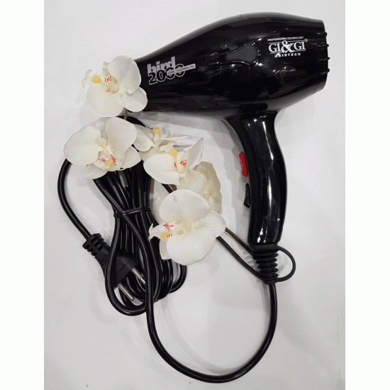 CIZETA Επαγγελματτικό Σεσουάρ Μαλλιών ionic&ceramic BIRD Plus 2000 Watt ,Μαύρο CIZETA Επαγγελματτικό Σεσουάρ Μαλλιών ionic&ceramic BIRD 2000 Watt ,Μαύρο