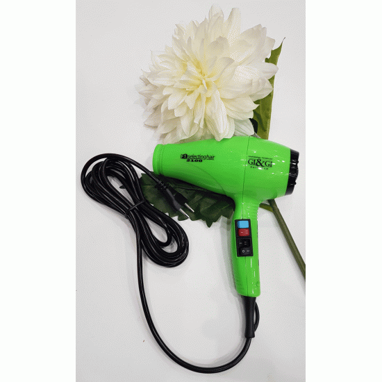 CIZETA Επαγγελμάτικο Σεσουάρ Μαλλιών F1 Selecting hair 2100Watt ,Πράσινο CIZETA Επαγγελμάτικο Σεσουάρ Μαλλιών F1 Selecting hair 2100Watt ,Πράσινο