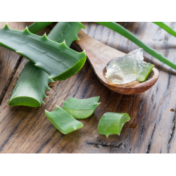 XANITALIA &Zeta;&epsilon;&sigma;&tau;ό &Kappa;&epsilon;&rho;ί &Alpha;&pi;&omicron;&tau;ί&chi;&omega;&sigma;&eta;&sigmaf; &Sigma;&epsilon; &Pi;&alpha;&sigma;&tau;ί&lambda;&iota;&epsilon;&sigmaf; 1000gr. ,Aloe Vera