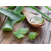 XANITALIA &Zeta;&epsilon;&sigma;&tau;ό &Kappa;&epsilon;&rho;ί &Alpha;&pi;&omicron;&tau;ί&chi;&omega;&sigma;&eta;&sigmaf; &Sigma;&epsilon; &Pi;&alpha;&sigma;&tau;ί&lambda;&iota;&epsilon;&sigmaf; 1000gr. ,Aloe Vera