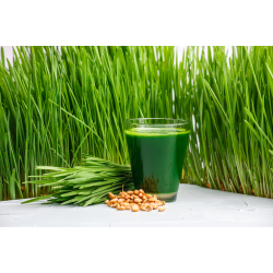 XANITALIA &Zeta;&epsilon;&sigma;&tau;ό &Kappa;&epsilon;&rho;ί &Alpha;&pi;&omicron;&tau;ί&chi;&omega;&sigma;&eta;&sigmaf; &Sigma;&epsilon; &Pi;&alpha;&sigma;&tau;ί&lambda;&iota;&epsilon;&sigmaf; 1000gr. ,Chlorophylle