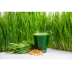 XANITALIA Ζεστό Κερί Αποτίχωσης Σε Παστίλιες 1000gr. ,Chlorophylle XANITALIA Ζεστό Κερί Αποτίχωσης Σε Παστίλιες 1000gr. ,Chlorophylle