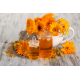 Doll by XANITALIA Λάδι Για Μετά Την Αποτρίχωση 500ml ,Calendula Doll by XANITALIA Λάδι Για Μετά Την Αποτρίχωση 500ml ,Calendula